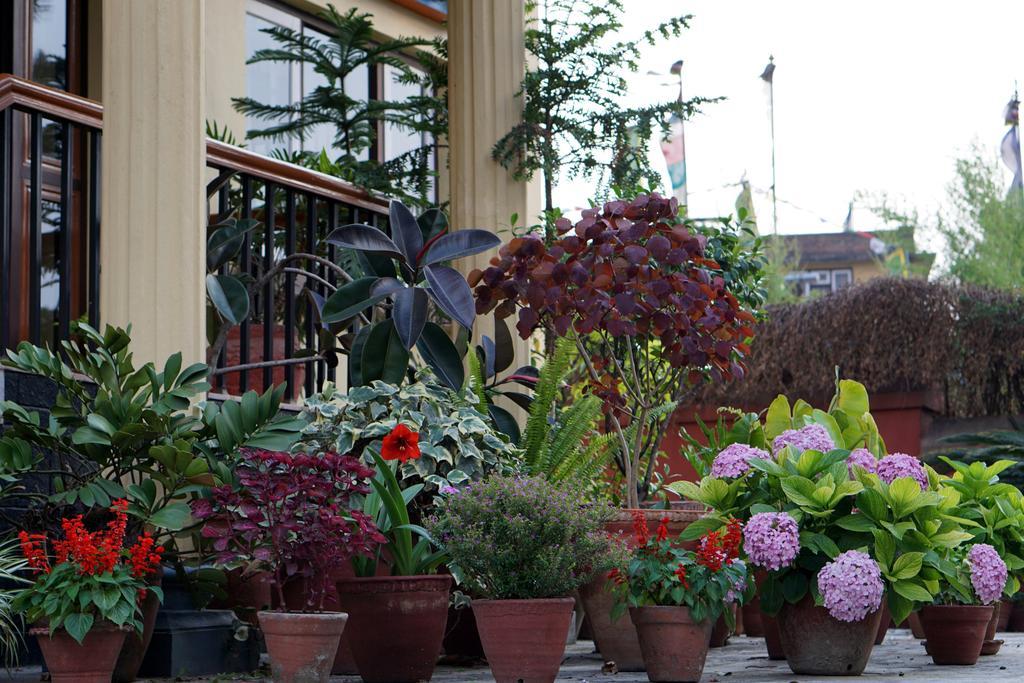 Swayambhu View Guest House Kathmandu Exterior photo